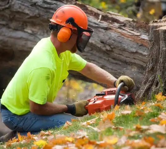 tree services Dobbs Ferry